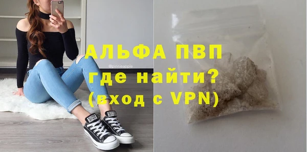 СК Волоколамск
