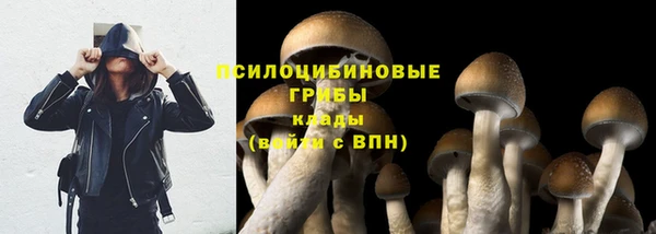 СК Волоколамск