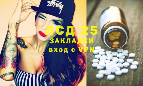 СК Волоколамск