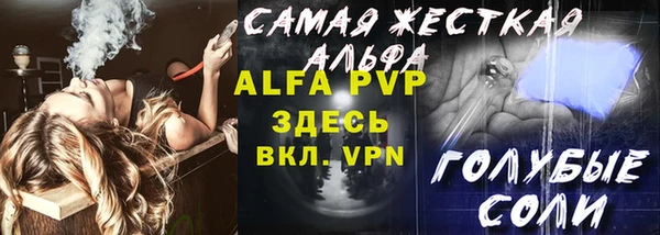 СК Волоколамск