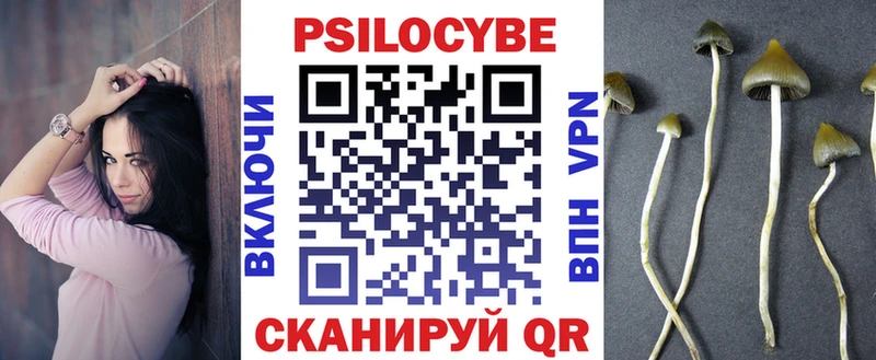 Галлюциногенные грибы Psilocybine cubensis  Энгельс 